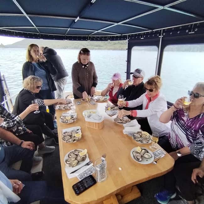 Dubrovnik: Oyster, Mussles, and Wine Tasting Tour in Ston - Who should book this half-day outing?