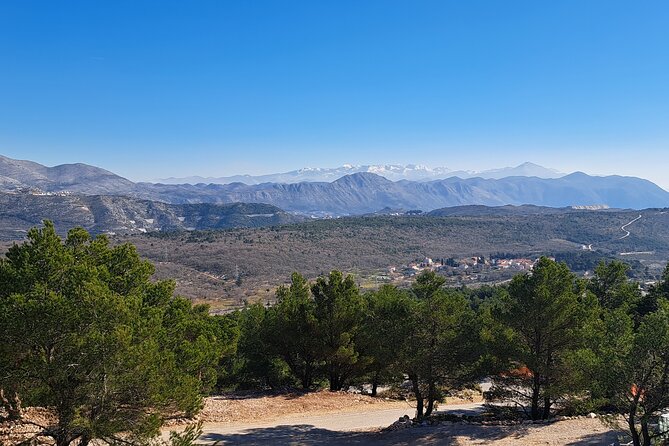 Dubrovnik Panorama Tour - Pickup, timing, and the port-day question