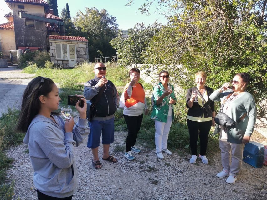 Dubrovnik: Panorama Tour with Free Time in the Old Town - The Ombla River and a cool change of pace