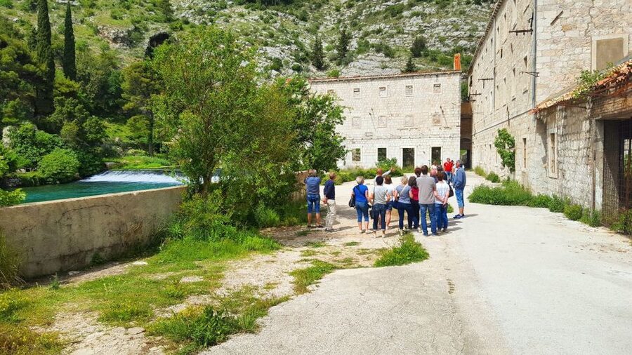 Dubrovnik: Panoramic Ride and Old Town Guided Walking Tour - Why this Dubrovnik tour works well