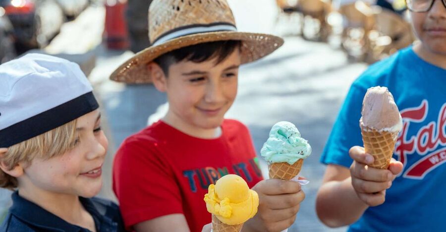 Dubrovnik: Private Family Friendly City Tour with Guide - Which families should book it?