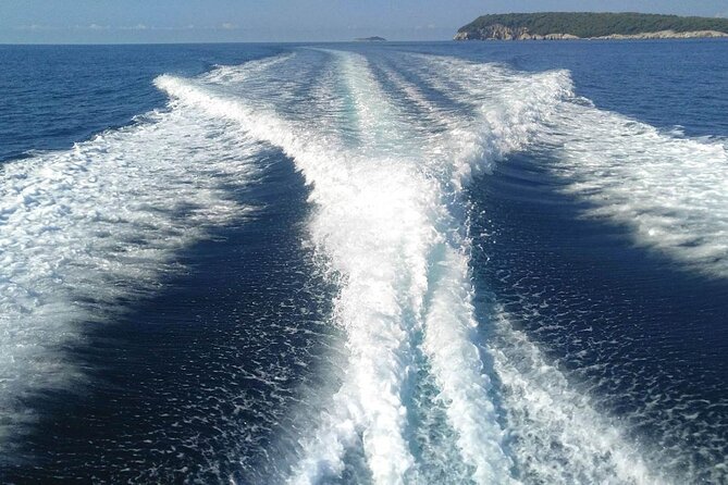 Dubrovnik Private Speed Boat Tour to the Islands - Mljet National Park: A Longer Day Out