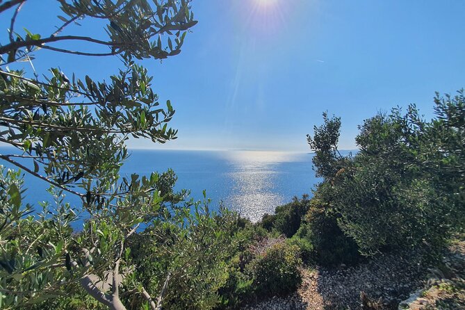 Dubrovnik Private Wine Tasting Tour to Peljesac Peninsula - Why this private Peljesac day works well from Dubrovnik