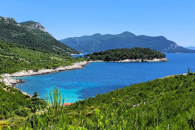 Dubrovnik Private Wine Tasting Tour to Peljesac Peninsula - Ćurlin Winery and the taste of Plavac Mali
