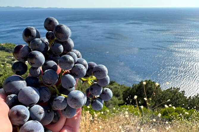 Dubrovnik Private Wine Tasting Tour to Peljesac Peninsula - Trstenik Bay: the day’s breathing room