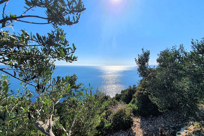 Dubrovnik Private Wine Tasting Tour to Peljesac Peninsula - What the guides add to the day