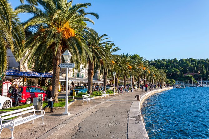 Dubrovnik Riviera and Cavtat - Shore Tour - The Tuđman Bridge and views toward Lapad