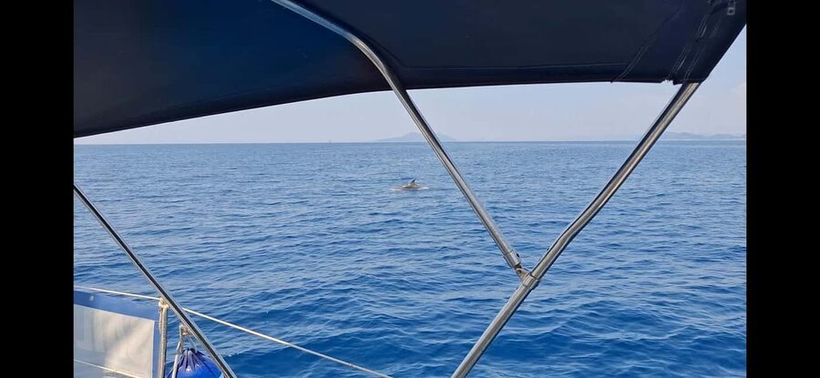 Dubrovnik yacht cruise-Elafity islands & Blue cave - Sunj Beach on Lopud
