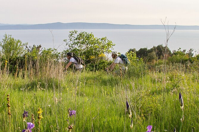 E-Bike Tour at Historical Villages of Makarska - What the $75.19 price gets you