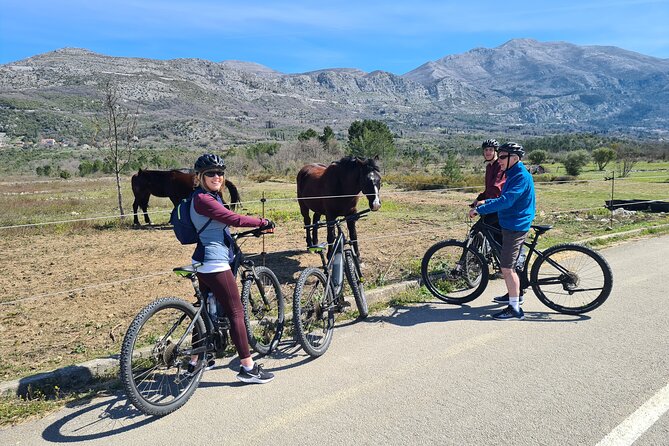 E-Bike Tour + Gourmet Lunch + Wine Tasting (Small Group) - What the guide adds to the day