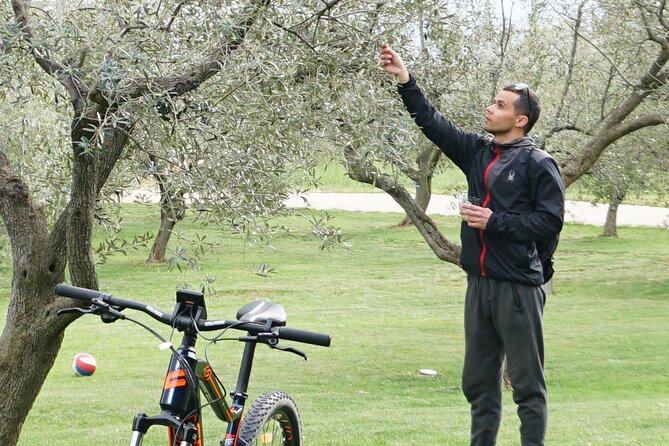 E Bike Tour with wine and olive oil tasting in Vodnjan - Bale and the old fortress country