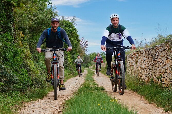 E Bike Tour with wine and olive oil tasting in Vodnjan - Who will enjoy this most