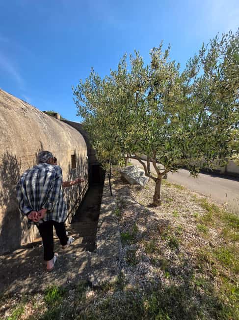 Eco tuk tuk Highlights of Zadar - The Land Gate and the old defensive edge