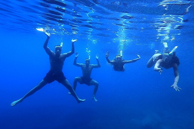 Elaphite Islands & Mljet - Private Boat Excursion from Dubrovnik - Kolocep and the Blue Cave, a short first swim