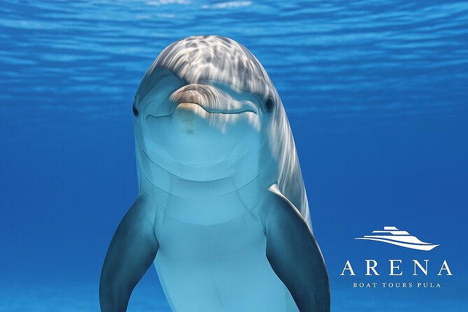 Fantastic DOLPHIN & SUNSET TOUR with dinner ( Pula-NP BRIJUNI ) - Setting out from Pula Harbour at 6 pm