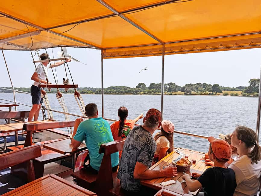 Fazana: Dolphin Finder in Brijuni islands Safari with Dinner - Key points to know before you book