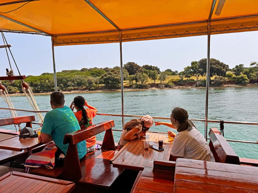 Fazana: Dolphin Finder in Brijuni islands Safari with Dinner - Should you book the dolphin cruise?