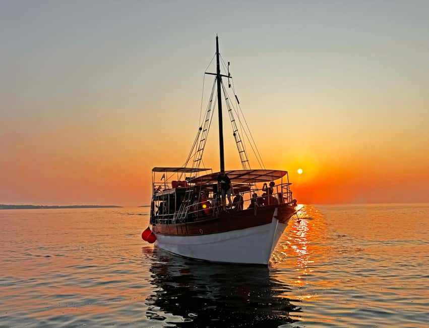 Fazana: Dolphin Finder in Brijuni islands Safari with Dinner - Searching for bottlenose dolphins in open water