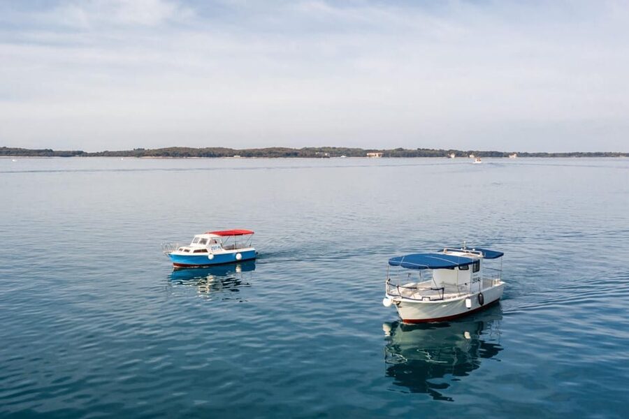 Fažana: Sail like a president with Brijuni Panorama - Why this short Brijuni cruise works