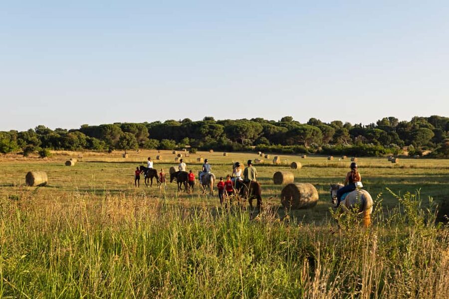 Fazana: Sunset 1-hour Horse Riding in Nature with Guide - Key points at a glance