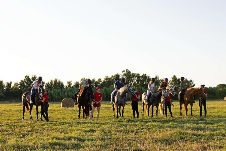 Fazana: Sunset 1-hour Horse Riding in Nature with Guide - Meeting your horse and learning the basics