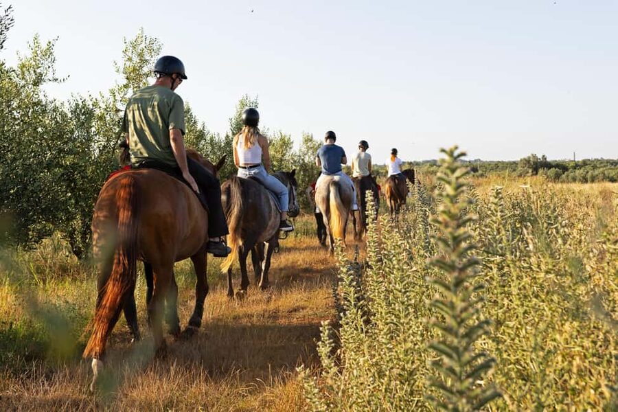 Fazana: Sunset 1-hour Horse Riding in Nature with Guide - Olive groves and local countryside