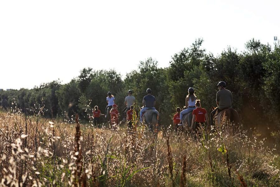 Fazana: Sunset 1-hour Horse Riding in Nature with Guide - Why the small group matters