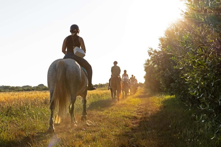 Fazana: Sunset 1-hour Horse Riding in Nature with Guide - Getting to Ranch Laguna Fažana