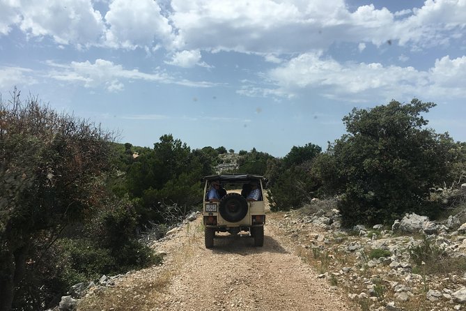 Feel and Taste island Brac with local experts - island adventure to remember - Stone, olive oil, and island work