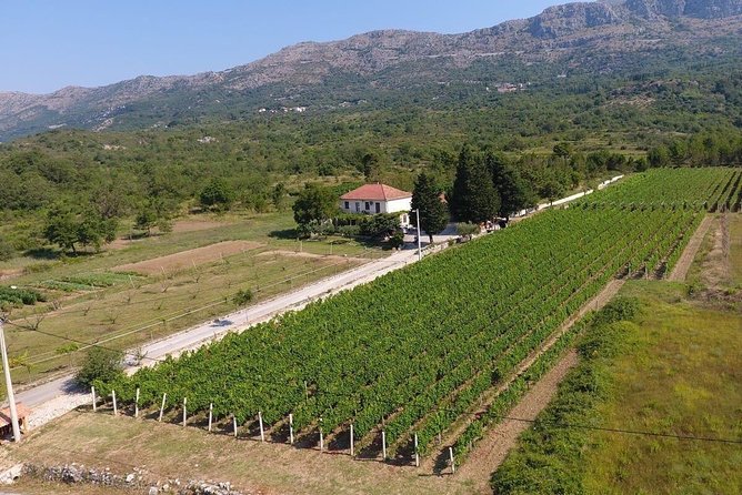 Flavours of Konavle: Wine, Food & Village Life Experience - Leaving Dubrovnik by the Adriatic Highway