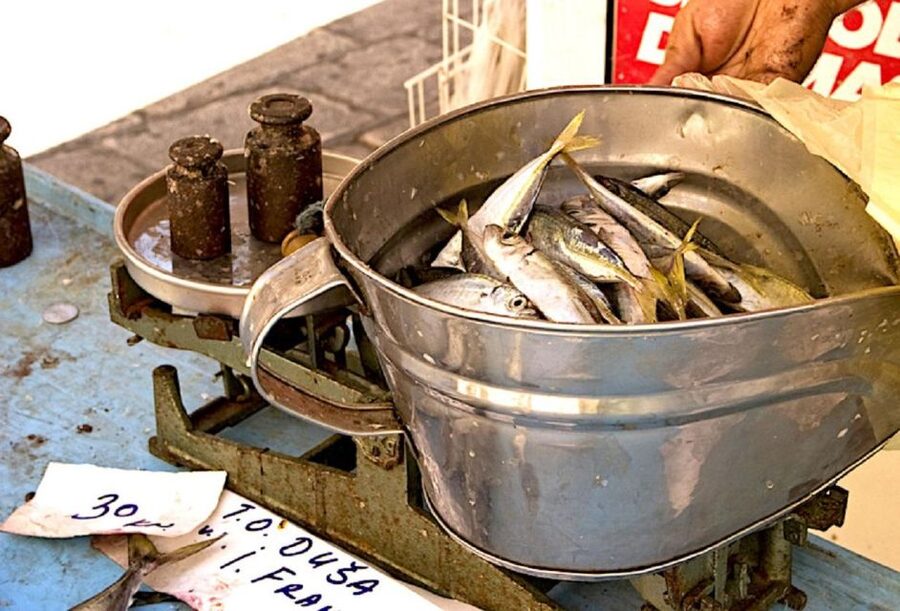 Food Tour in Split ( Small Group) - How Much Food Do You Get for $94?