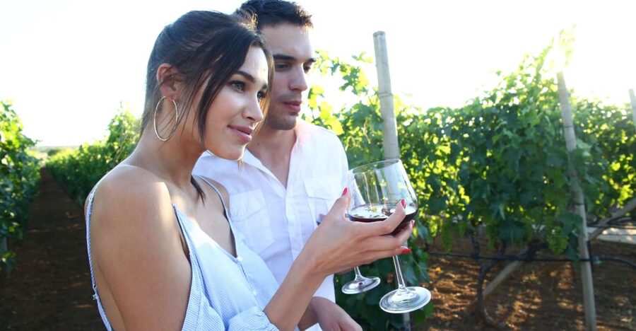 From Biograd: Wine and Olive Oil Tasting in Ražnjevića Dvori - Key points to know before you book