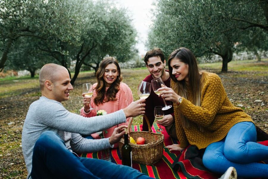 From Biograd: Wine and Olive Oil Tasting in Ražnjevića Dvori - Booking details that matter