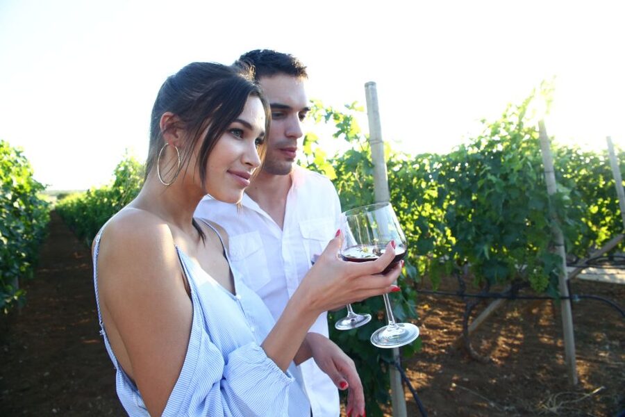 From Biograd: Wine and Olive Oil Tasting in Ražnjevića Dvori - Walking through the 16th-century estate