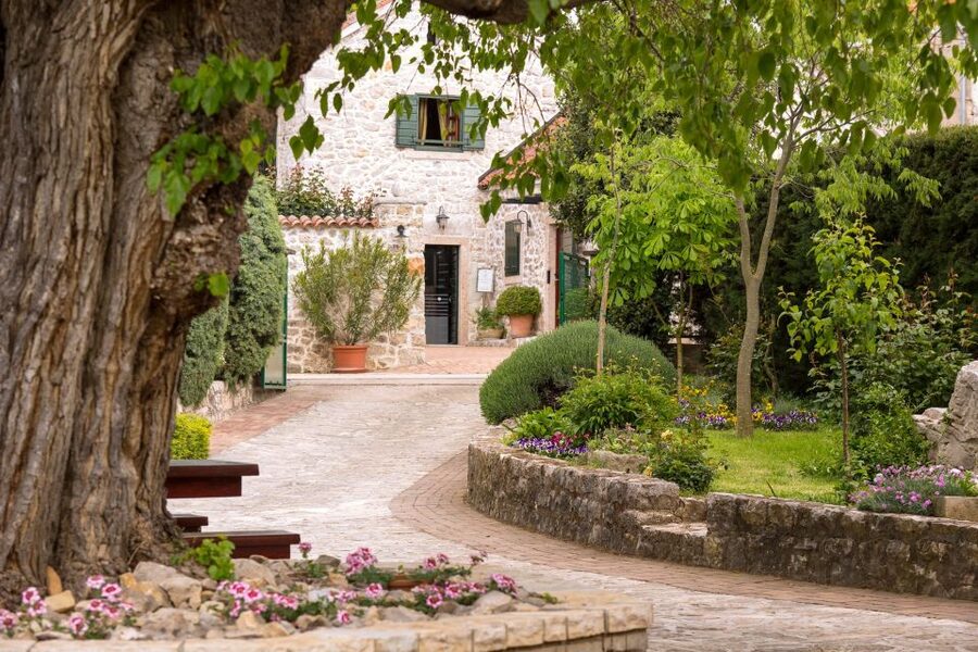 From Biograd: Wine and Olive Oil Tasting in Ražnjevića Dvori - Who should book this experience?