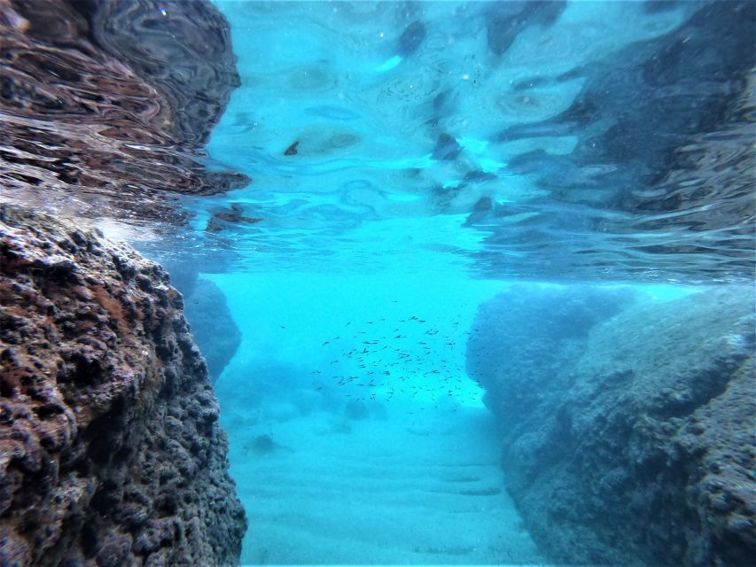 From Dubrovnik: 4-hour Elafiti Islands Private Boat Tour - What the skippers add to the experience