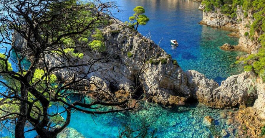 From Dubrovnik: Boat Tour to Kolocep, Lopud, & Sipan Islands - Šipan: a swim break with olive trees and old villas