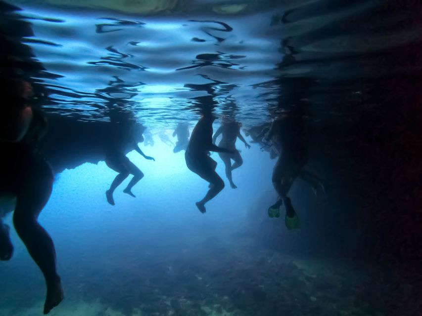 From Dubrovnik/Cavtat: Blue Cave, Sunj Beach Speed Boat Tour - Swimming into Koločep’s Blue Cave
