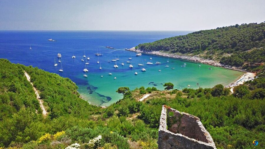 From Dubrovnik: Full-Day Private Boat Tour of Elafiti Island - Koločep and the Blue Cave