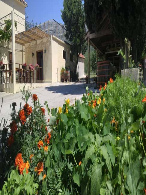 From Dubrovnik: Half-Day Wine Tasting and Cavtat City Tour - A family winery in the Konavle Valley