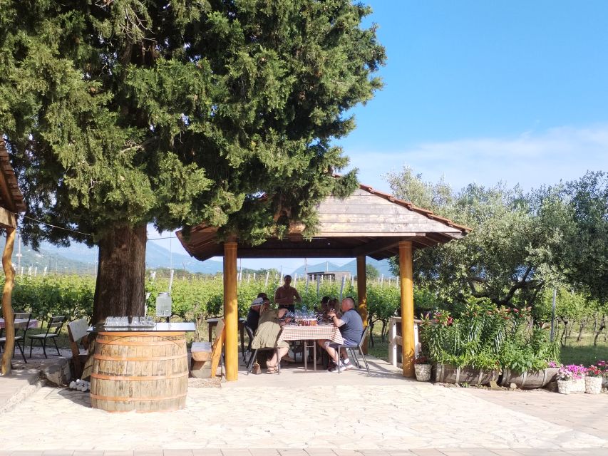 From Dubrovnik: Half-Day Wine Tasting and Cavtat City Tour - What the driver adds on the road from Dubrovnik