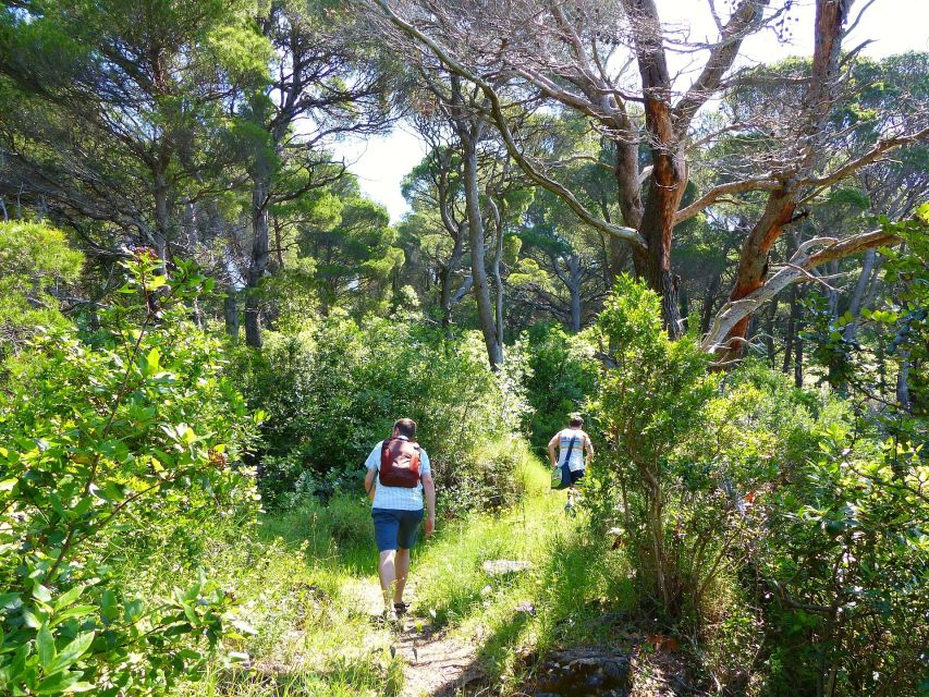 From Dubrovnik: Hiking & Swimming on Koločep Island Day Trip - What the guides add to the day