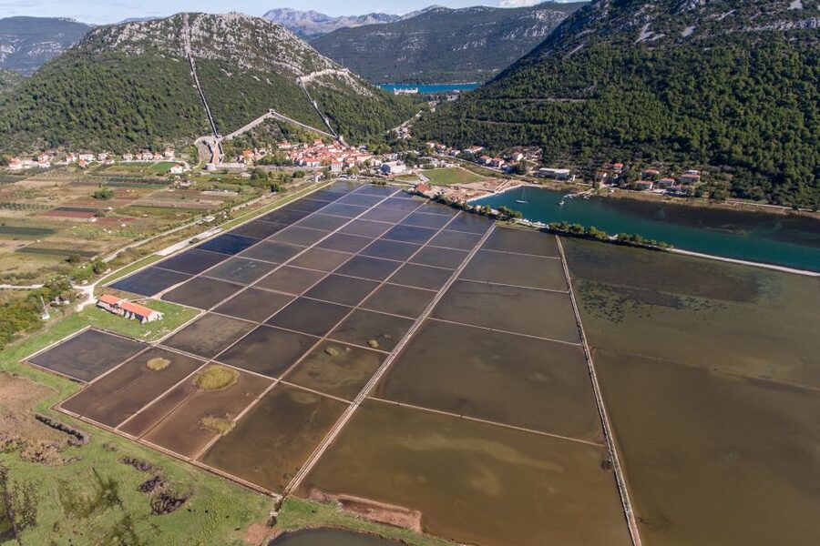From Dubrovnik: Island of Korčula with wine tasting - Key points to know before booking