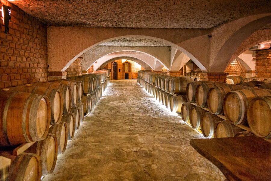 From Dubrovnik: Island of Korčula with wine tasting - The Bartulović family winery