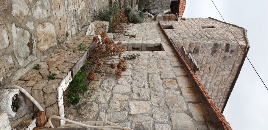 From Dubrovnik: Majkovi Village and Ston Private Food Tour - Price, timing, and who gets good value