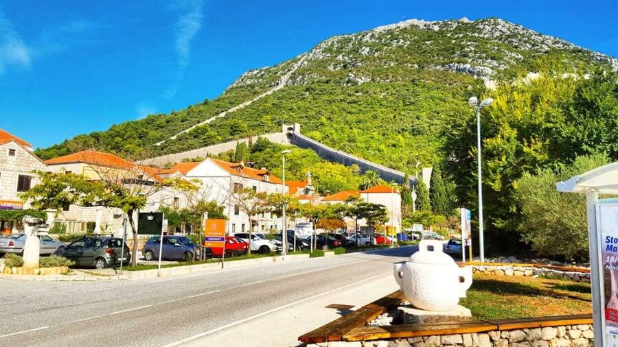 From Dubrovnik: Majkovi Village and Ston Private Food Tour - Who should book this Dubrovnik food tour