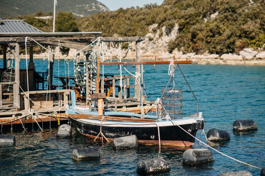 From Dubrovnik: Mali Ston Oyster Paradise Tour with Transfer - Booking details worth knowing