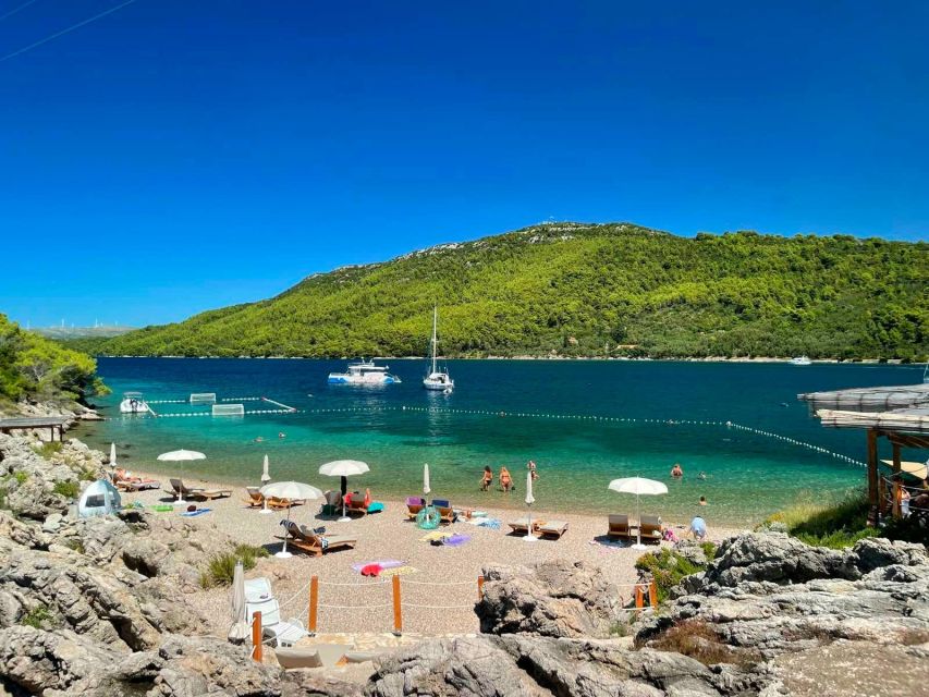 From Dubrovnik: Mljet National Park & Elaphiti Islands Trip - Key points at a glance