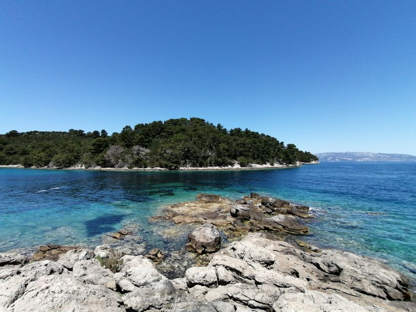 From Dubrovnik: Mljet National Park & Elaphiti Islands Trip - Koločep’s caves and the Blue Cave