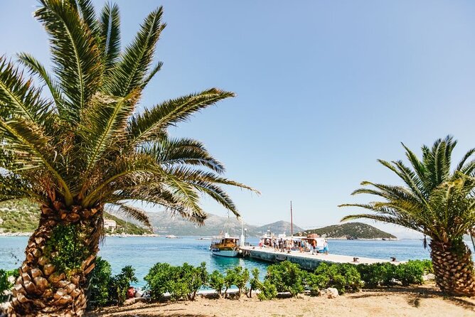 From Dubrovnik: Premium Three Island Cruise with lunch and drinks - Šipan: olive groves and a quieter hour